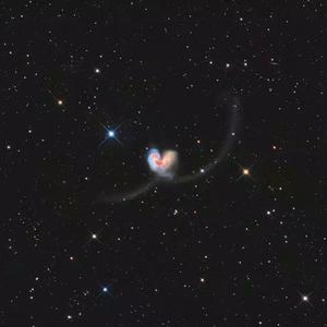 欧美Ⅴideoss大爆乳
